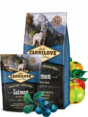 Salmon for adult dogs 
