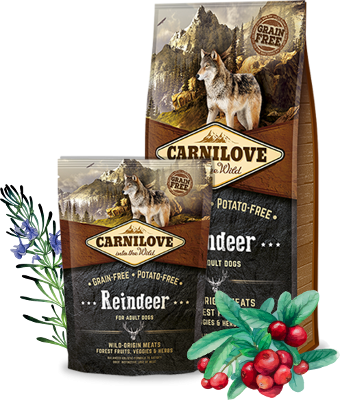 Reindeer for adult dogs 